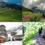 Best Beginner-Friendly Treks in India for Nature Lovers
