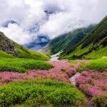 Valley of Flowers – Complete Trek Information