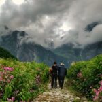 Valley of Flowers Trek Guide 2026: Everything You Need to Know